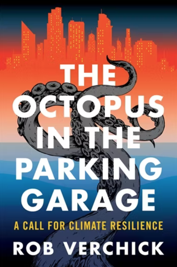 The Octopus in the Parking Garage